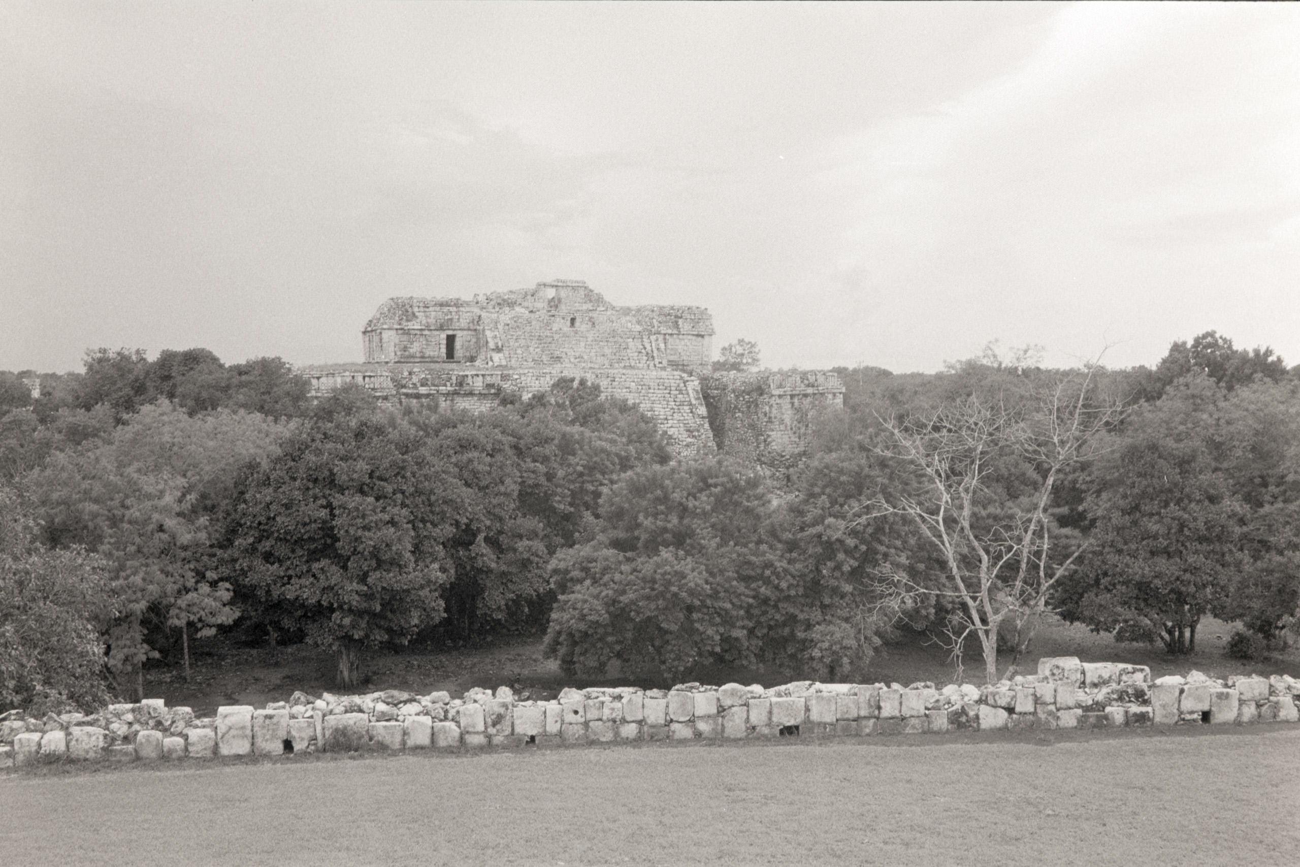 AHP FilmScan 240807 0701